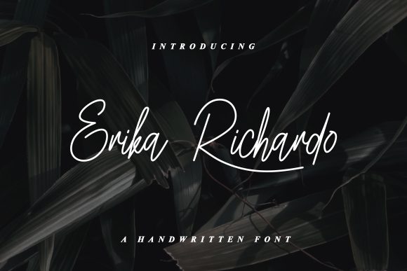 Erika Richardo Font Review