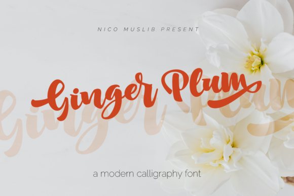 Ginger Plum Font for Editorial Design