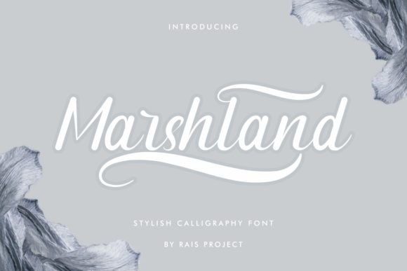 Marshland: A Font for Polished Branding