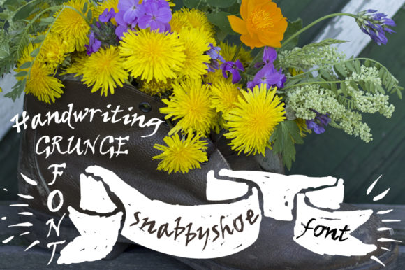 Snabbyshoe: A Whimsical Font for Business