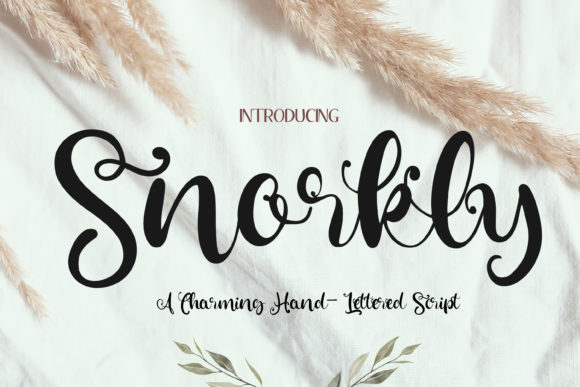 Snorkly: A Whimsical Font for Business Branding